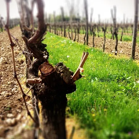 Casa Romea 시비달레델프리울리