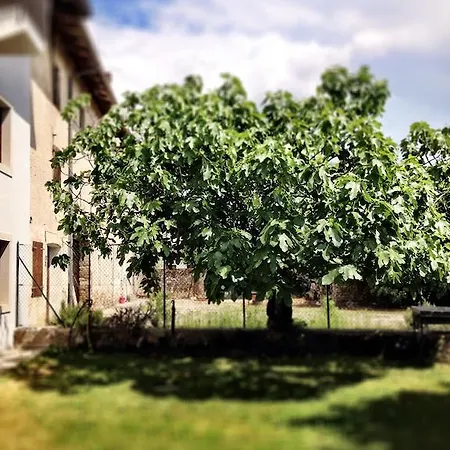 Casa Romea * Cividale del Friuli