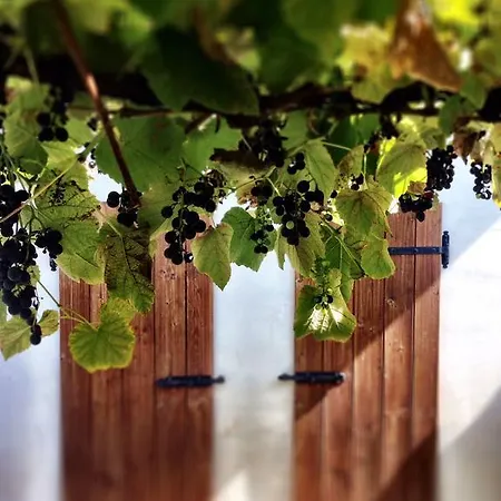 Casa Romea 시비달레델프리울리