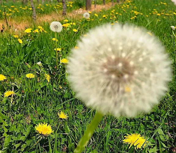Casa Romea * Cividale del Friuli