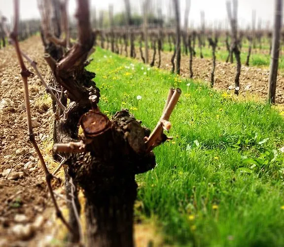 Casa Romea Cividale del Friuli